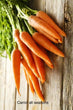 Carrot all seasons 1.5 gram bags