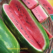 Watermelon jubilee